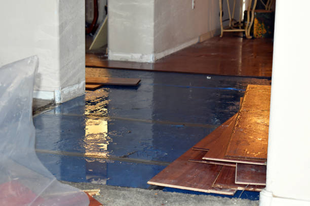 Professional Water Damage technician working in Mart, TX